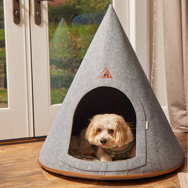 Indoor dog bed best sale